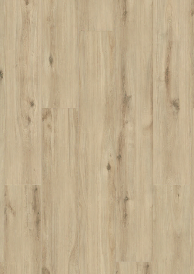 Longboard Eg K063, plank