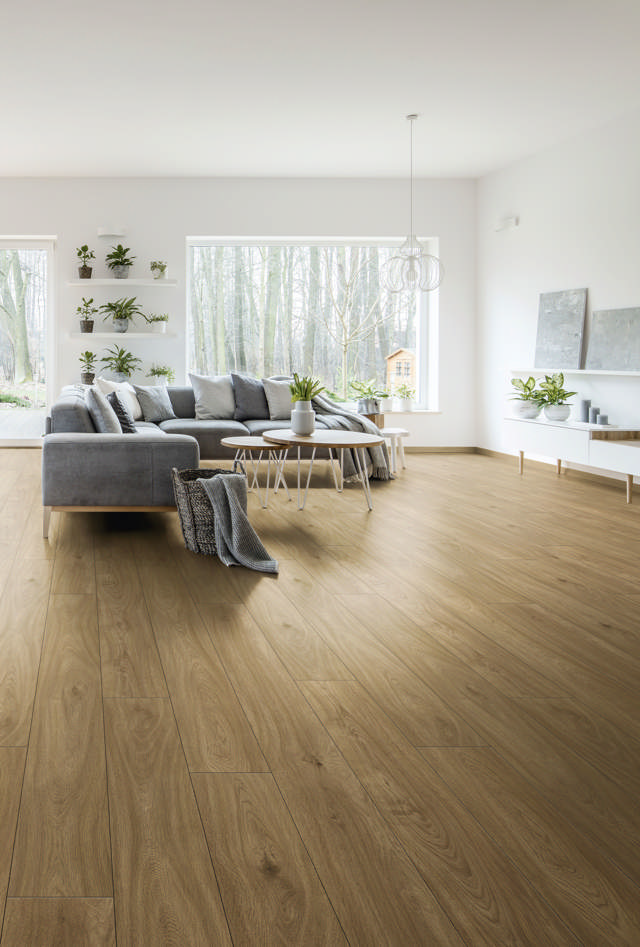 Longboard Eg K329, plank