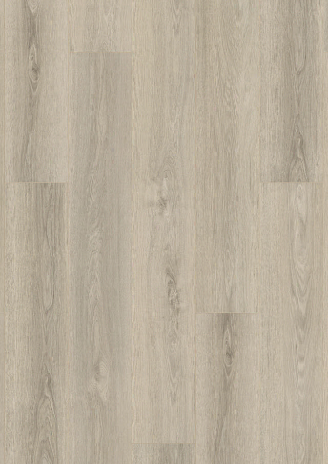 Longboard Eg K651, plank