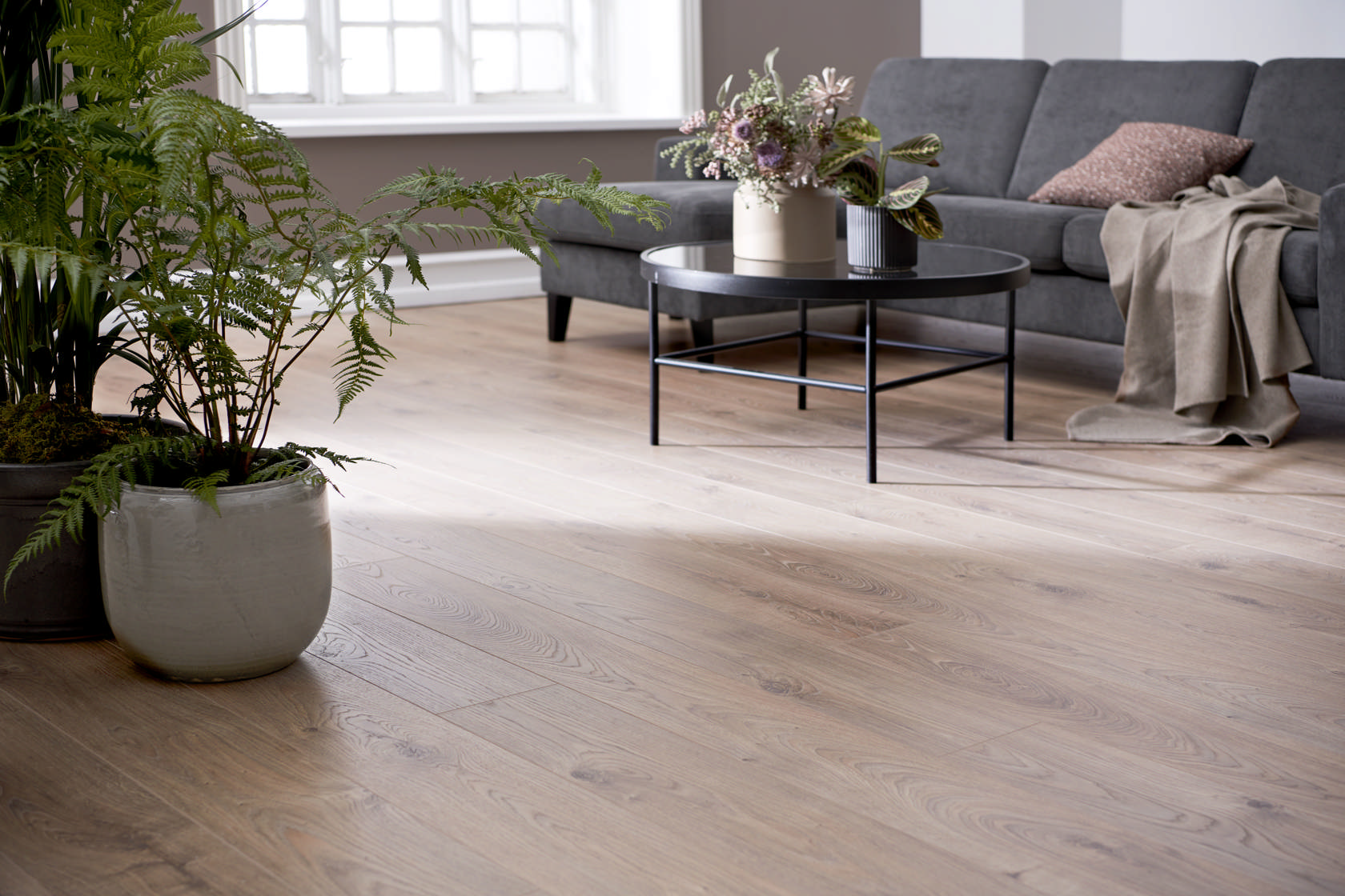 mammut laminatgulv vises i stuemiljø