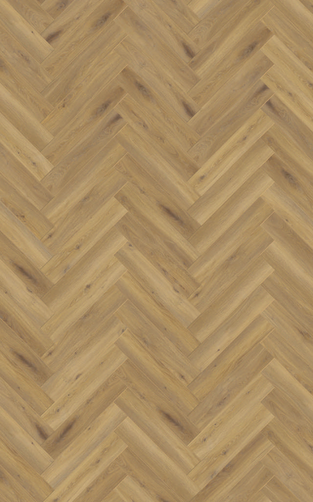 Sildeben Eg Pisa 3861